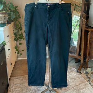 Gloria Vanderbilt Amanda straight leg jeans, rinse noir, plus size 18W
